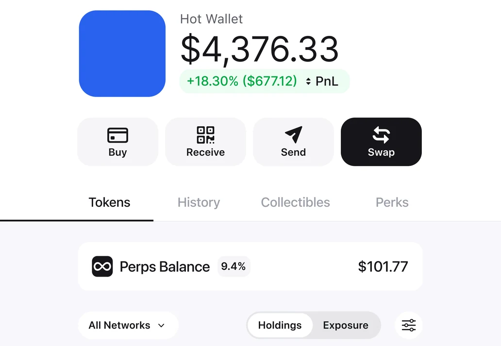 Zerion Wallet account showing a $4,376.33 balance, with the token list set to All Networks