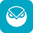 Gnosis Chain logo