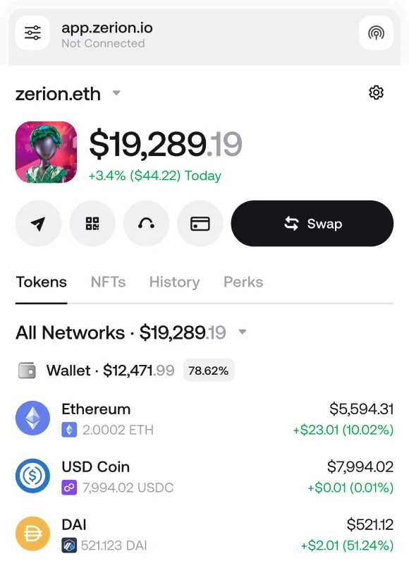 Zerion browser extension showing a $19,289 portfolio across all networks, with Ethereum and USD Coin balances and their day change