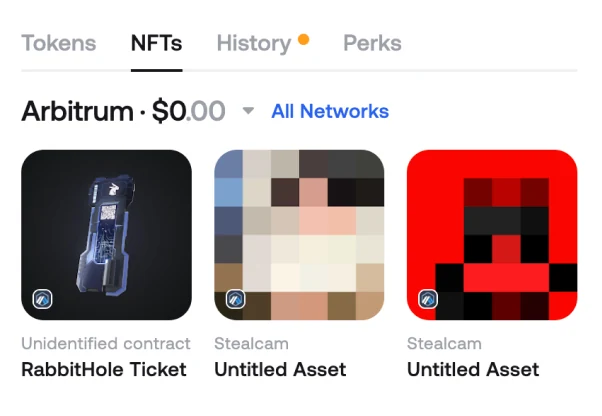 The NFTs tab in Zerion Wallet showing Arbitrum collectibles with their names and values