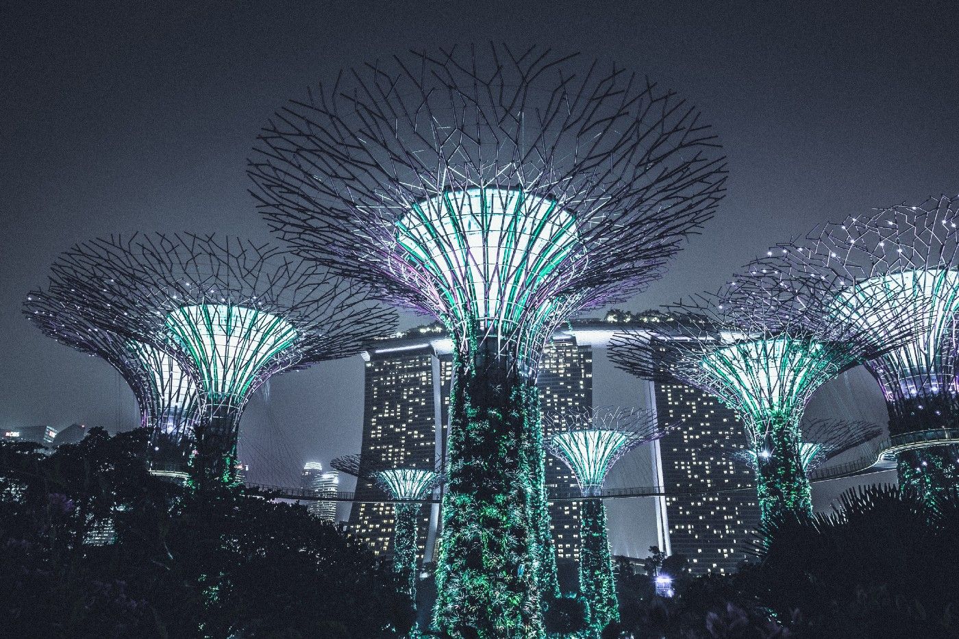 A day in the life of a decentralized future